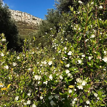 A Casa Di Carla Terracina