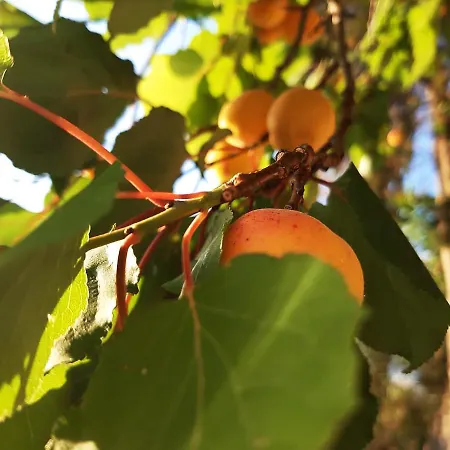 A Casa Di Carla Apartment