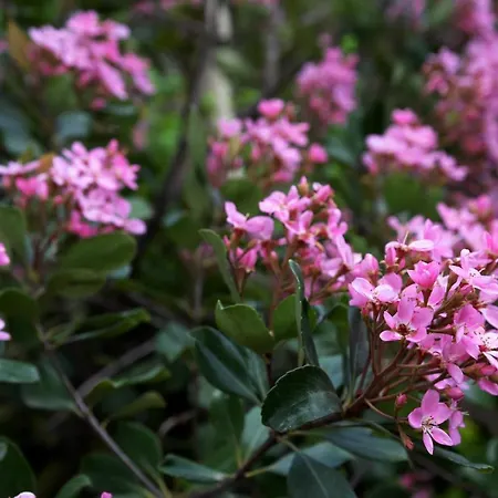 A Casa Di Carla * Terracina